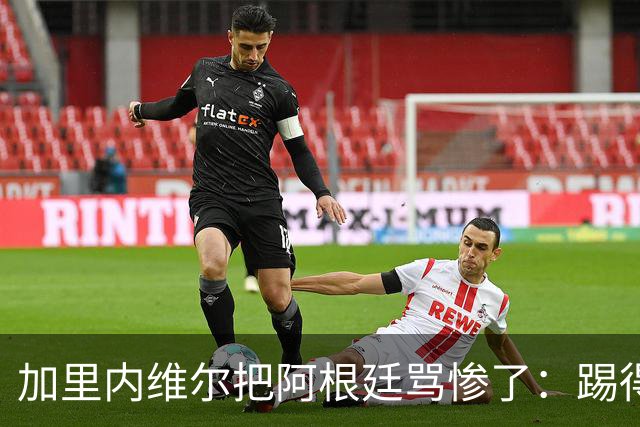 加里内维尔把阿根廷骂惨了：踢得一团糟，没梅西根本走不到这里！