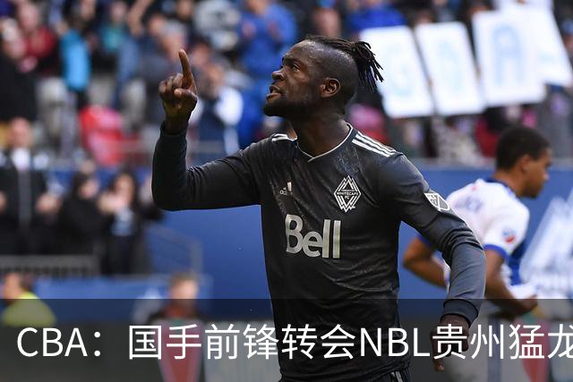 CBA：国手前锋转会NBL贵州猛龙，王少杰前往江苏男篮，吉林大将签约宁波，胡金秋预计留队